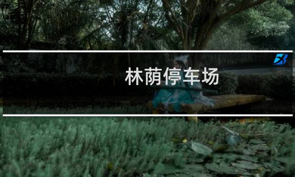 林荫停车场(关于林荫停车场的简介)图片