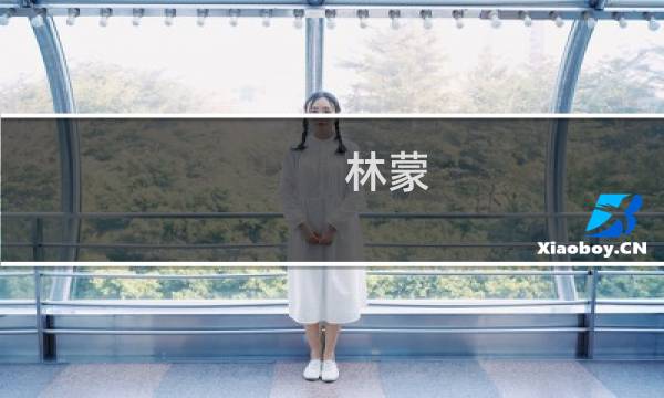 林蒙 J.(关于林蒙 J.的简介)