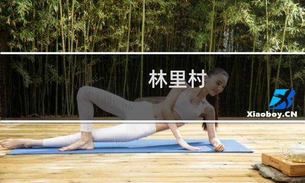 林里村(关于林里村的简介)图片