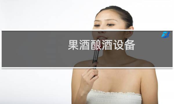 果酒酿酒设备