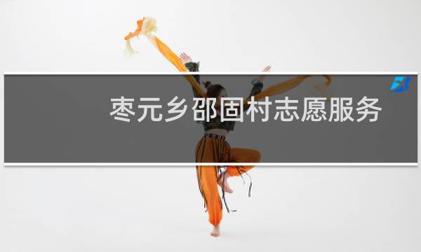 枣元乡邵固村志愿服务队(关于枣元乡邵固村志愿服务队的简介)图片