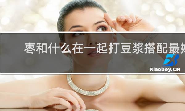 枣和什么在一起打豆浆搭配最好