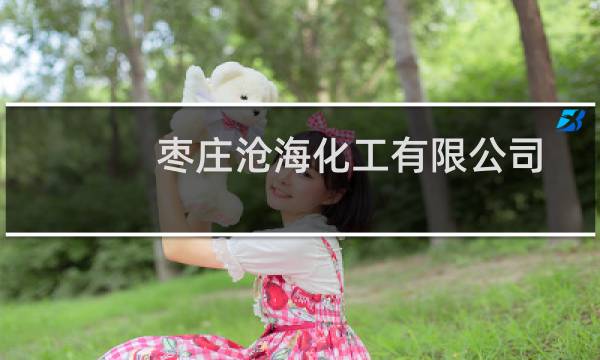 枣庄沧海化工有限公司(关于枣庄沧海化工有限公司的简介)