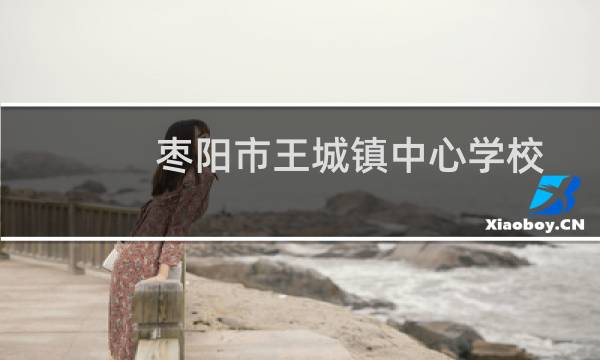枣阳市王城镇中心学校(关于枣阳市王城镇中心学校的简介)