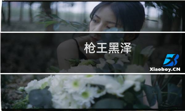 枪王黑泽(关于枪王黑泽的简介)