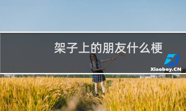 架子上的朋友什么梗