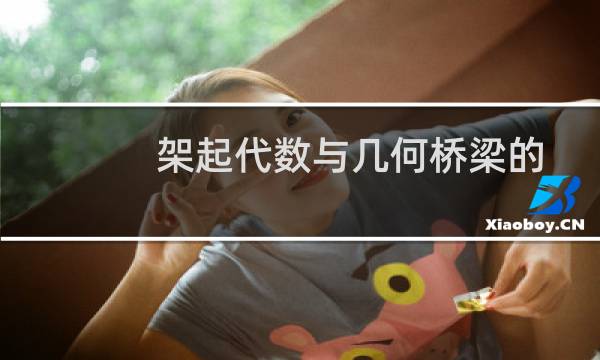 架起代数与几何桥梁的人：笛卡尔的故事(关于架起代数与几何桥梁的人：笛卡尔的故事的简介)