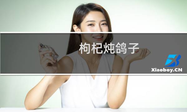 枸杞炖鸽子(关于枸杞炖鸽子的简介)图片