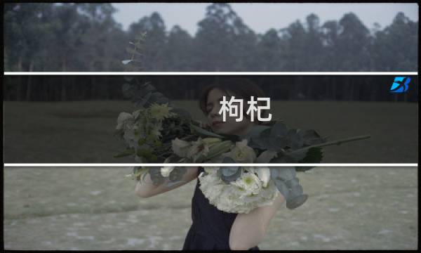 枸杞 原变种(关于枸杞 原变种的简介)