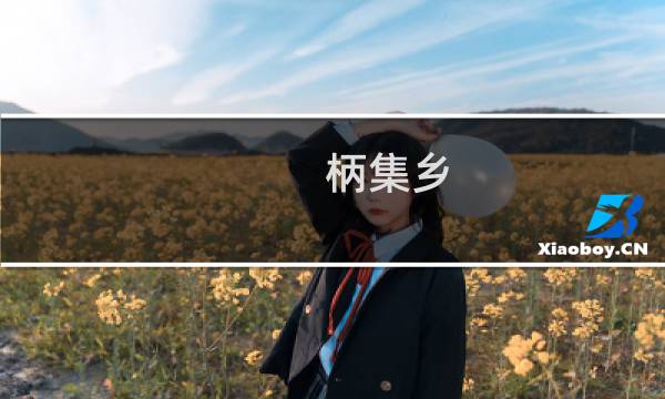 柄集乡(关于柄集乡的简介)