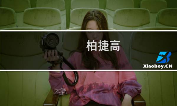 柏捷高(关于柏捷高的简介)图片