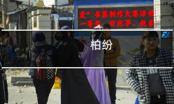 柏纷(关于柏纷的简介)