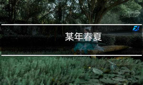 某年春夏(关于某年春夏的简介)