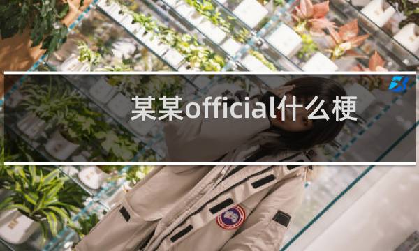 某某official什么梗