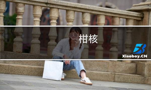 柑核(关于柑核的简介)图片