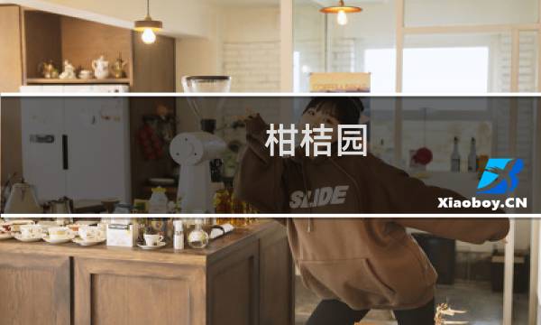 柑桔园(关于柑桔园的简介)图片