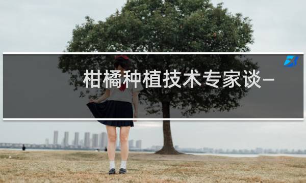 柑橘种植技术专家谈——郑朝耀50年柑橘种植经验(关于柑橘种植技术专家谈——郑朝耀50年柑橘种植经验的简介)