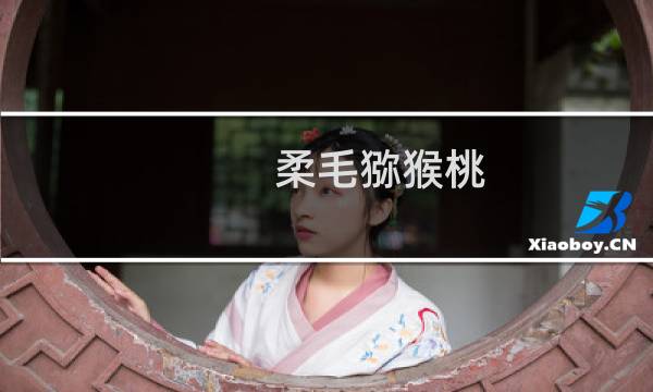 柔毛猕猴桃(关于柔毛猕猴桃的简介)