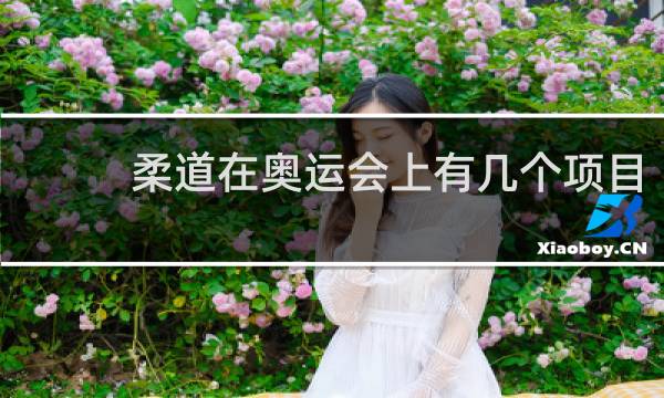 柔道在奥运会上有几个项目