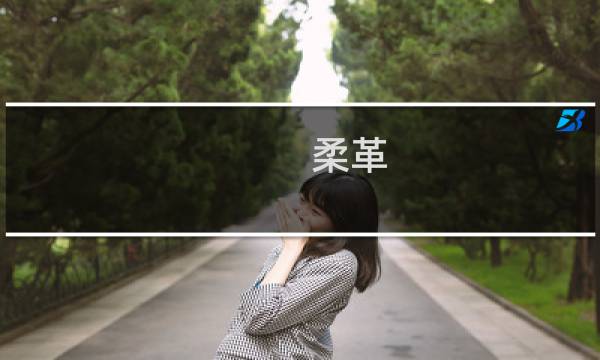 柔革(关于柔革的简介)图片