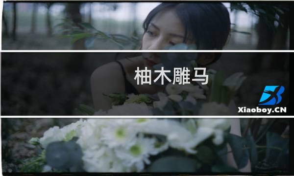 柚木雕马(关于柚木雕马的简介)