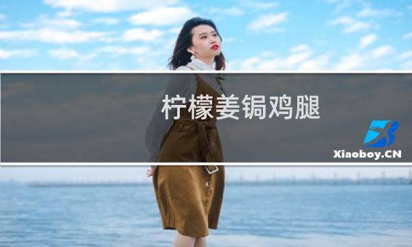 柠檬姜锔鸡腿(关于柠檬姜锔鸡腿的简介)