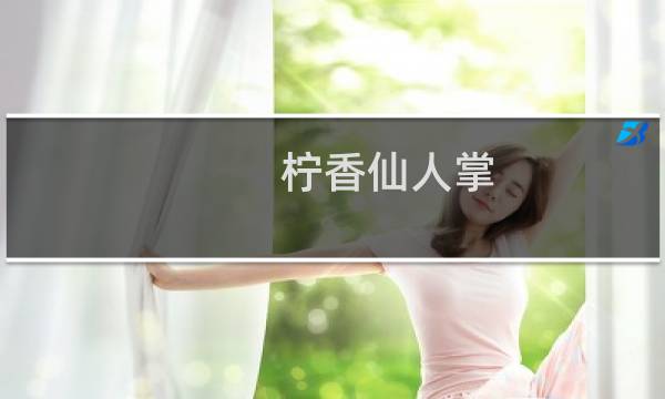 柠香仙人掌(关于柠香仙人掌的简介)图片