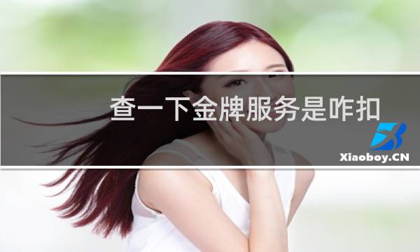 查一下金牌服务是咋扣的-其他问题
