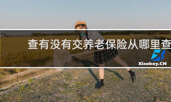 查有没有交养老保险从哪里查