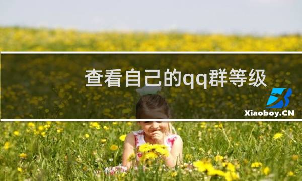 查看自己的qq群等级排名的方法