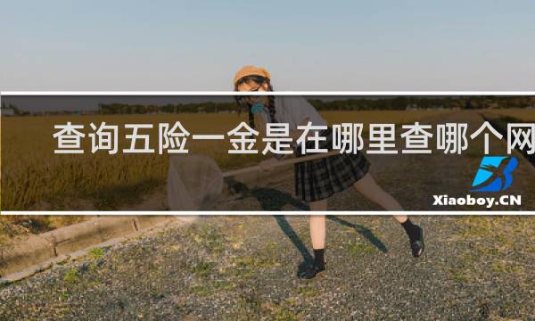 查询五险一金是在哪里查哪个网站