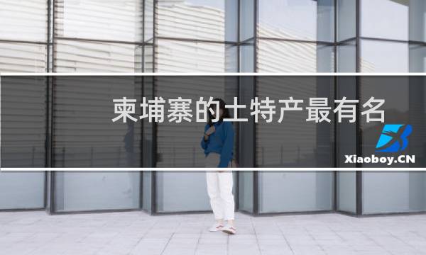 柬埔寨的土特产最有名的（亚洲柬埔寨十大特产）图片