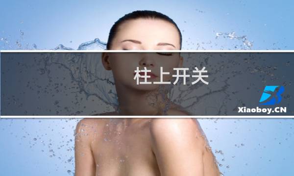 柱上开关(关于柱上开关的简介)