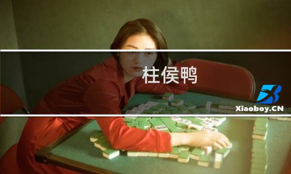 柱侯鸭(关于柱侯鸭的简介)