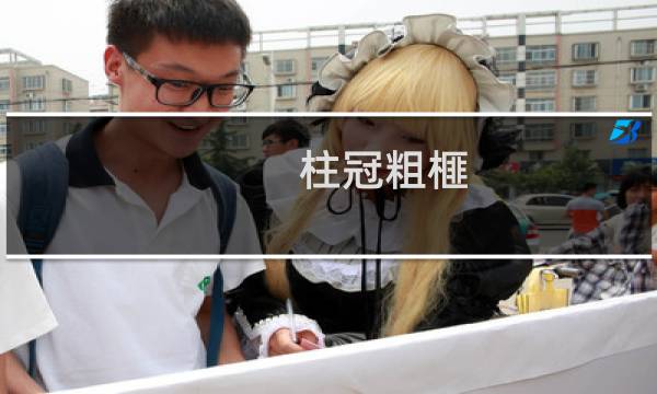 柱冠粗榧(关于柱冠粗榧的简介)图片