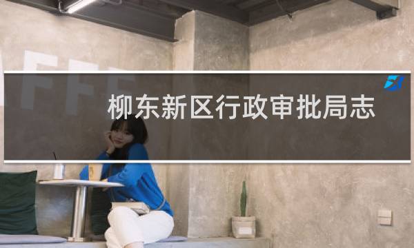 柳东新区行政审批局志愿服务队(关于柳东新区行政审批局志愿服务队的简介)