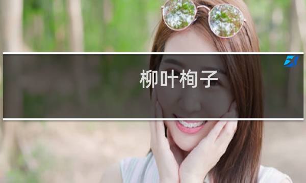 柳叶栒子(关于柳叶栒子的简介)