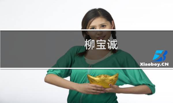 柳宝诚(宝诚意思?)