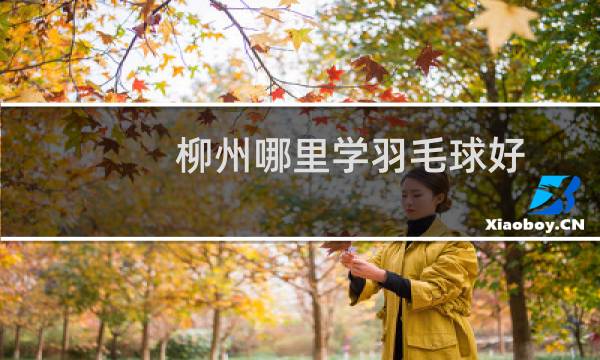 柳州哪里学羽毛球好