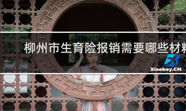 柳州市生育险报销需要哪些材料