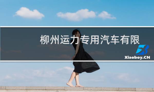 柳州运力专用汽车有限公司(关于柳州运力专用汽车有限公司的简介)图片