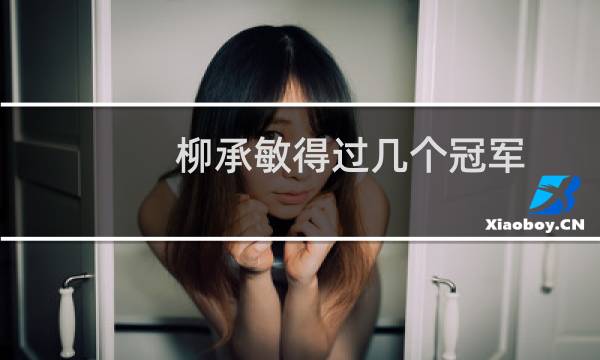柳承敏得过几个冠军