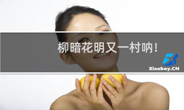 柳暗花明又一村呐！(关于柳暗花明又一村呐！的简介)图片