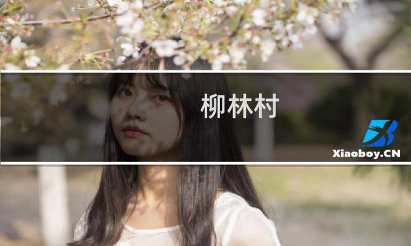 柳林村(关于柳林村的简介)图片