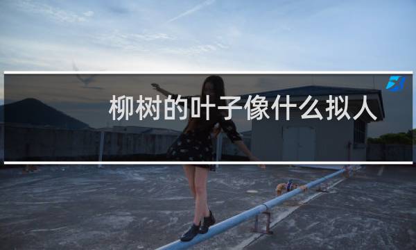 柳树的叶子像什么拟人(柳树的叶子像什么)