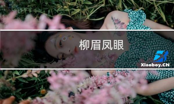 柳眉凤眼(关于柳眉凤眼的简介)图片