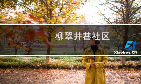 柳翠井巷社区(关于柳翠井巷社区的简介)图片