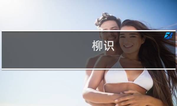 柳识(关于柳识的简介)