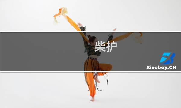 柴护(关于柴护的简介)