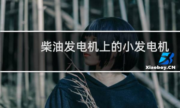 柴油发电机上的小发电机图片